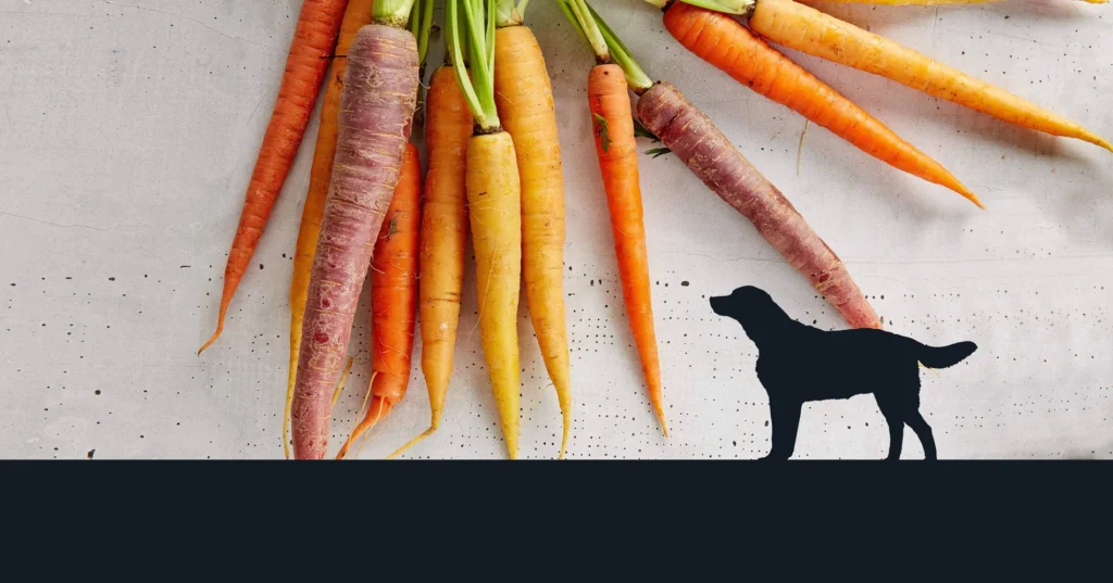 carrots for dogs