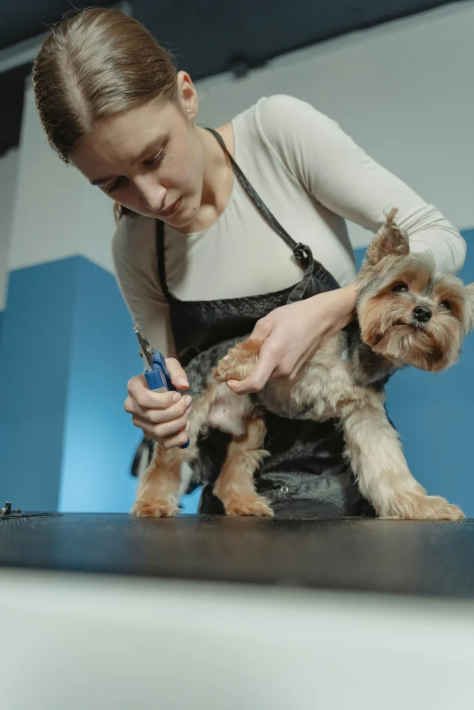 Restraining Dog to cut Nails